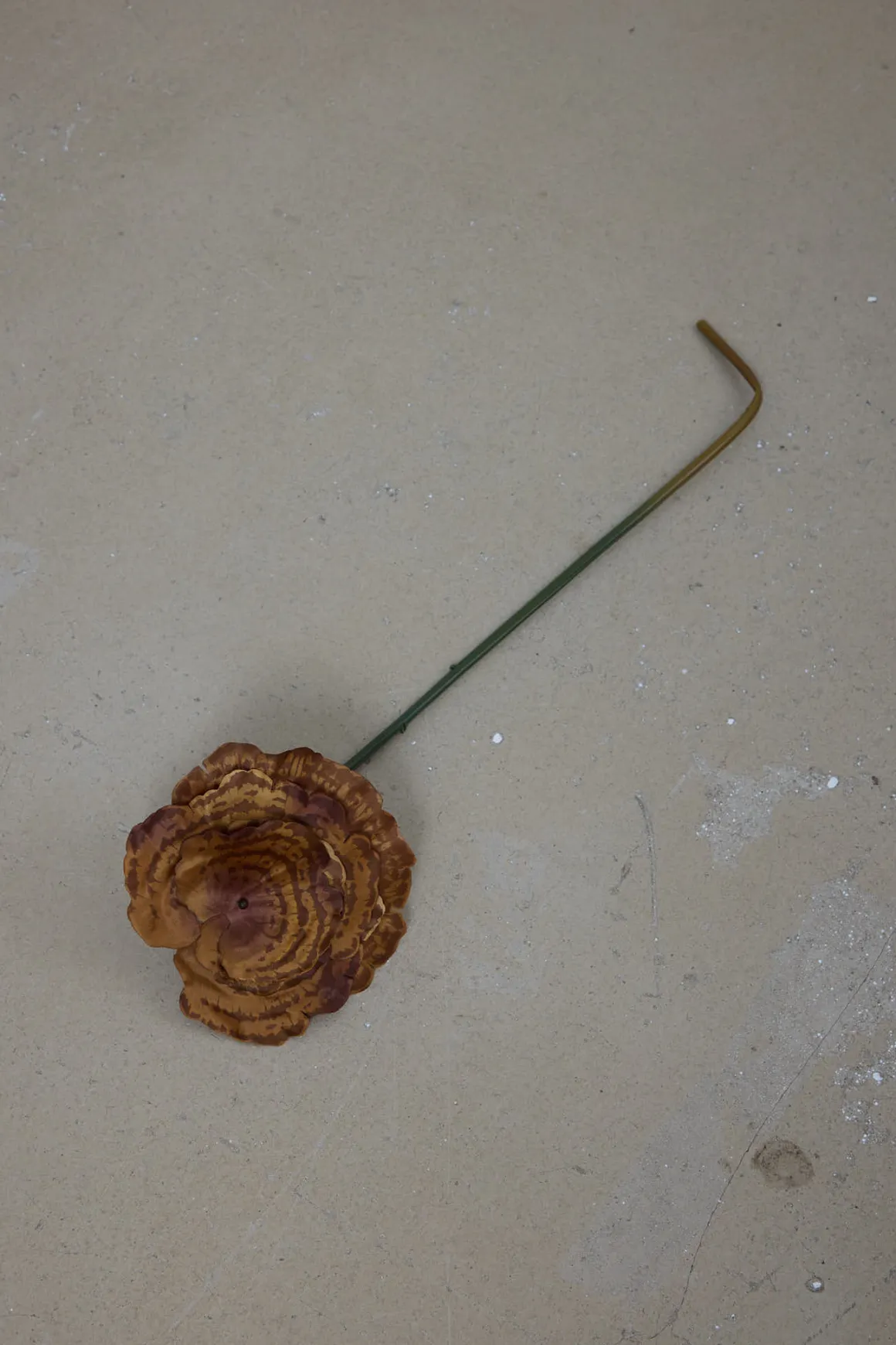 Sopp - Lackticka H53cm