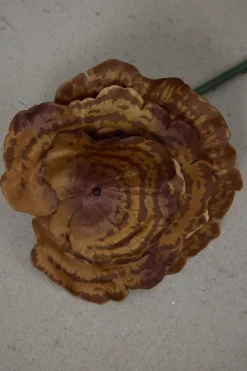 Sopp - Lackticka H53cm