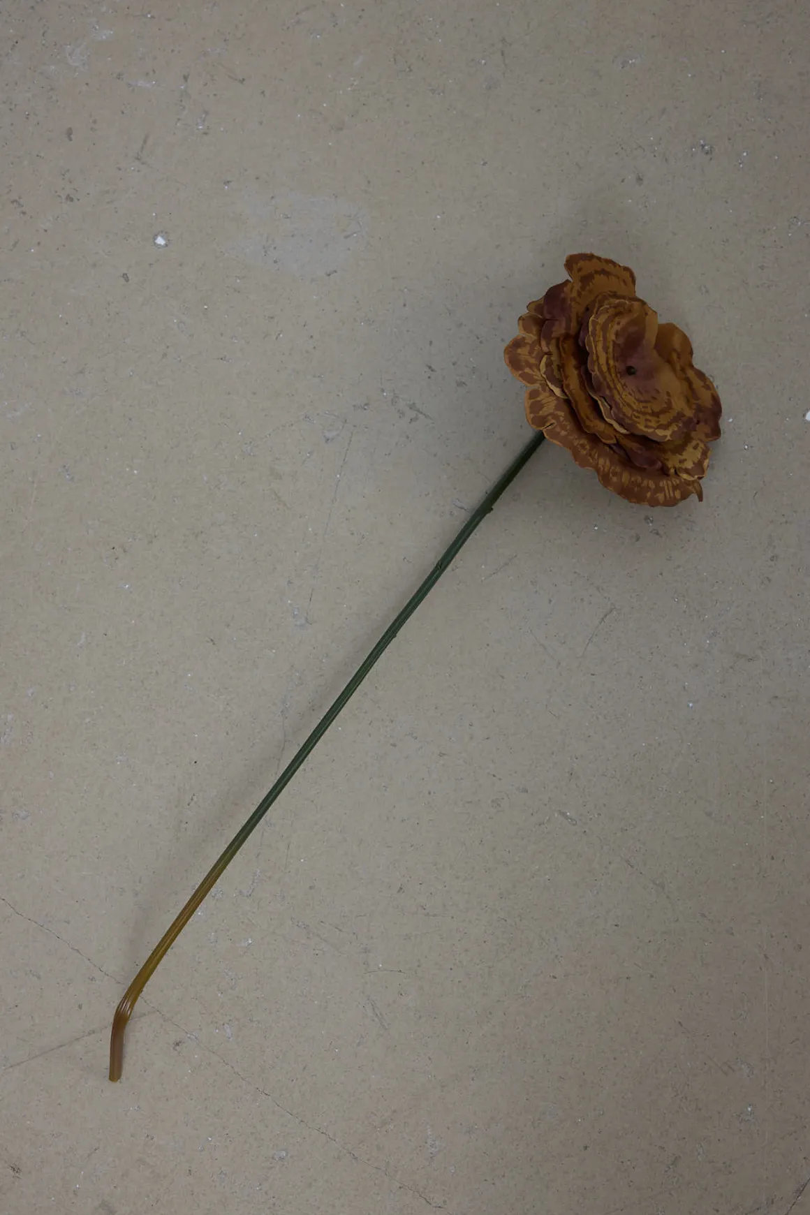 Sopp - Lackticka H53cm