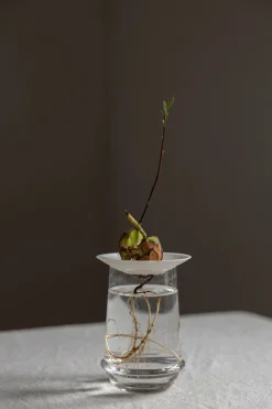 Spireplate - Avokado L Hvit