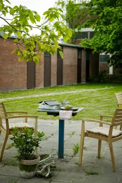 Spisestol - Ballare 56x56xH86cm Teak