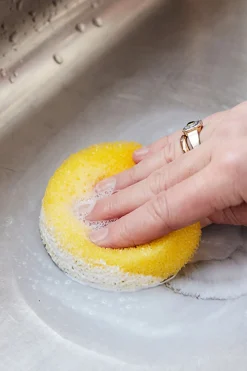 Svamp - Ekstra Svamp Til Vidunderkrem