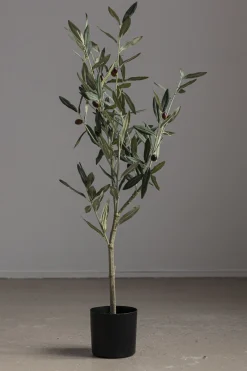 Tre - Oliven H90cm