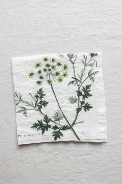 Tøyserviett - Aromatic Herbs 45x45cm Persille