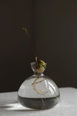 Vase - Avokado Klar
