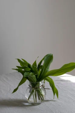 Vase - Glass H10cm Klar